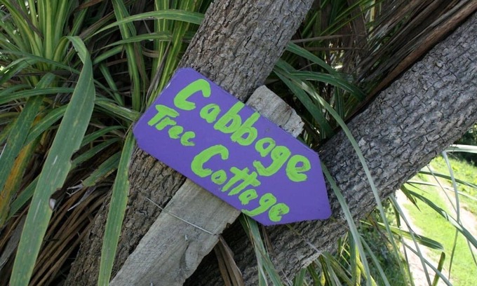 Mokihinui Cottage | Cabbage Tree Cottage - Beautiful home, stunning location. Pet-friendly.