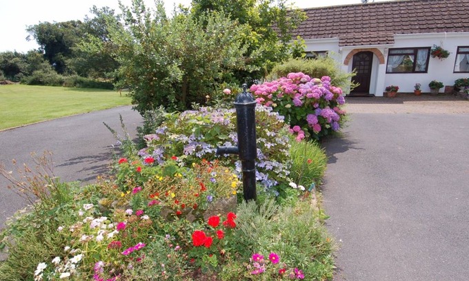 Dawlish Cottage | Cabin ∙ 1 bedroom ∙ 2 guests