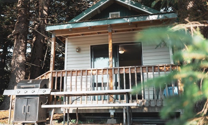 Haines Condo | Cabin 1 Lynn View Lodge