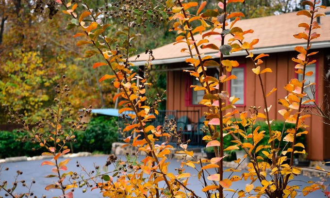 Mountain Home Cabin | Cabin 2-bdrms with Pool and Boat Dock Access on Norfork Lake, Arkansas