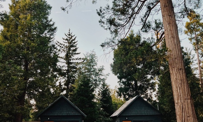 Twin Peaks Cabin | Cabin #3 - The Perch at Twin Peaks