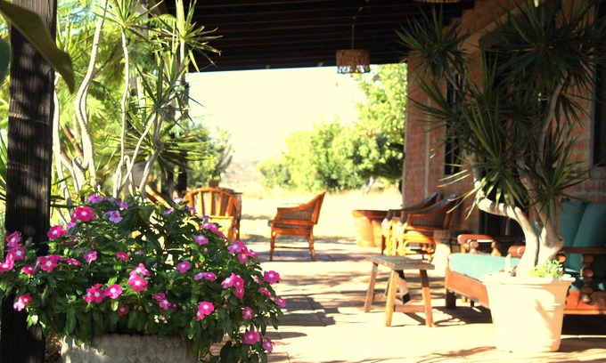 Valle de Guadalupe Cabin | Cabin B Las Orquideas, rustic and comfy, right off the highway