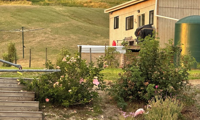 Whakapirau Cabin | Cabin Kaipara bliss/peaceful, . Pet friendly