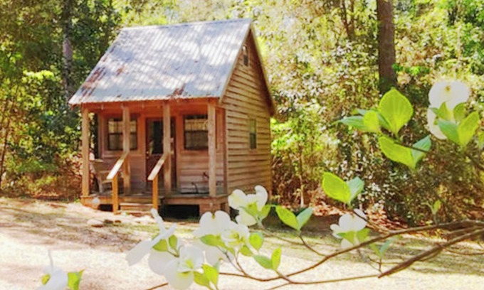 Gardner Cabin | Cabin retreat on 11 wooded acres W of Alexandria; AC WiFi smart TV; 14 night min