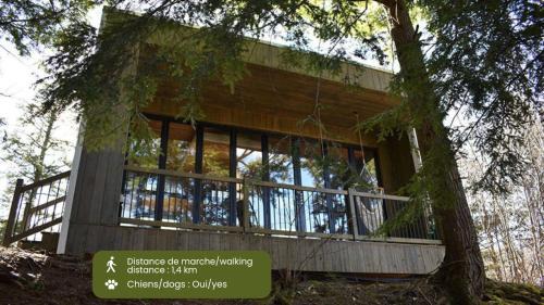 Eastman House | Cabin Zoobox 80