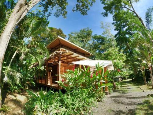 Cocles House | Cabina Harlequin at Margarita Hills