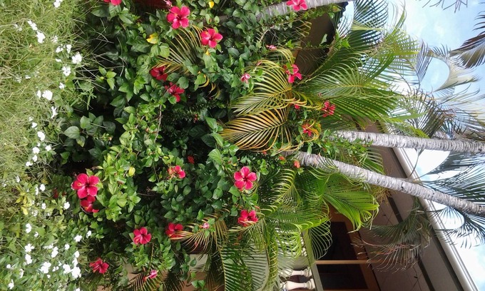 Puntarenas Hotel | Cabinas Madeleine