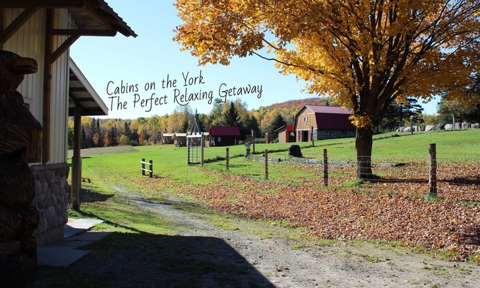 Hastings Highlands Cabin | Cabins on the York - Loon Cabin #1