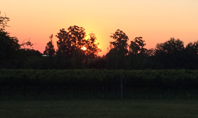 Colon House | Cabins surrounded by vineyards, with history and something new to discover, lots of peace