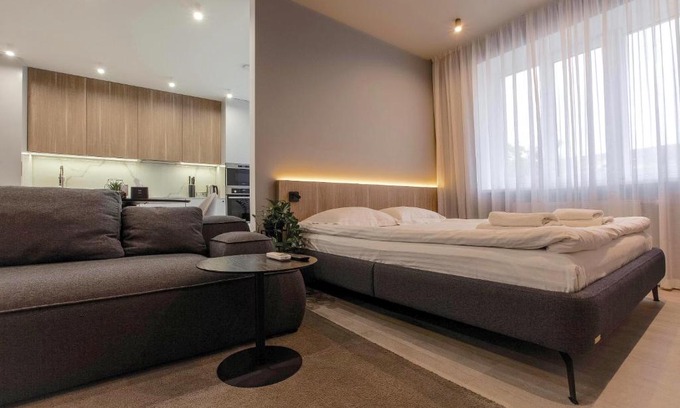 Kosuv Stary Apartment | Cactus Apartments 2