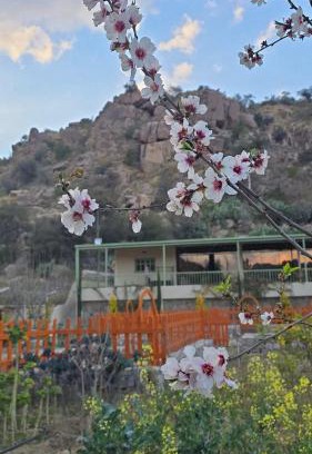 Makkah Province Ski Chalet | Cactus Bloom زهرة الصبار