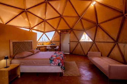 La Paz Other | Cactus Lodge Baja
