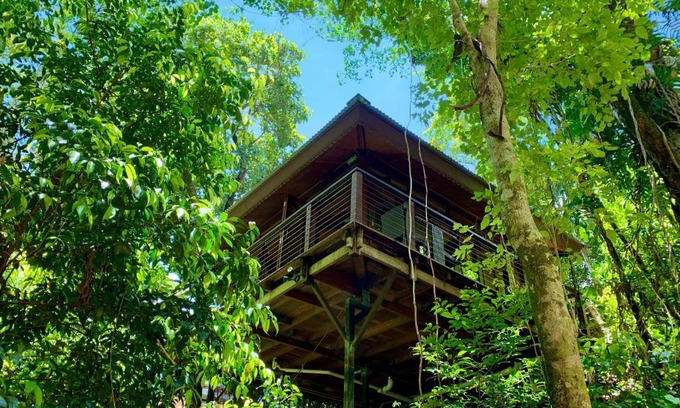 Bayview Heights Resort | Cairns Rainforest Retreat