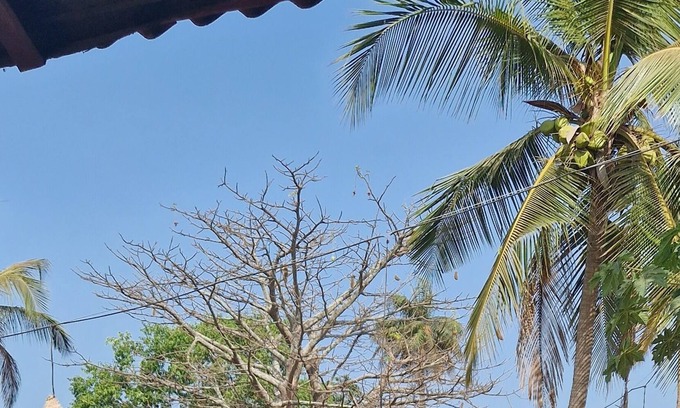 Bubaque Hotel | Cajou Lodge