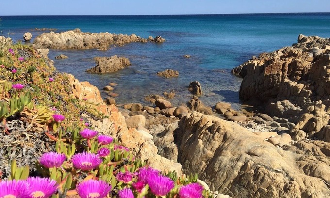 Sas Linnas Siccas House | Cala Liberotto: Terraced house with garden - Cala Liberotto (Orosei) -App. 6