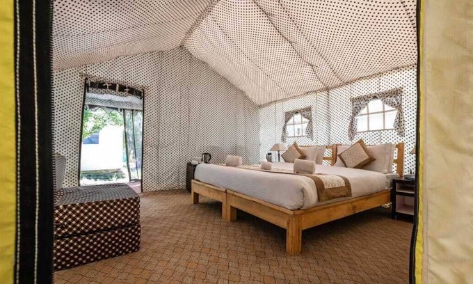 Hundur Bed & Breakfast | Camp Norling Stars - Koyul