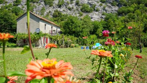 Virpazar Other | Camp Podkraj