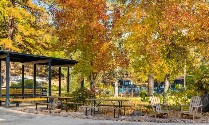 Tuolumne Other | Camp Silver Spur
