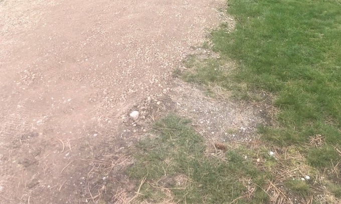 Ravalli County Other | CAMP SULA - RV SITE # 16 - back In