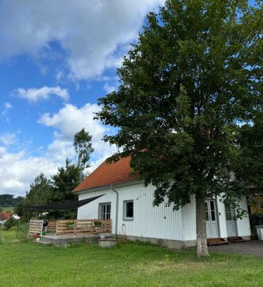 Chvalsiny House | CampHouse