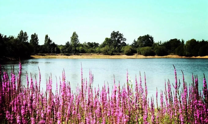 Sainte-Foy House | Camping Au Pré de l'Etang * - Mobile home IBIZA DUO 2 bedrooms 4 people