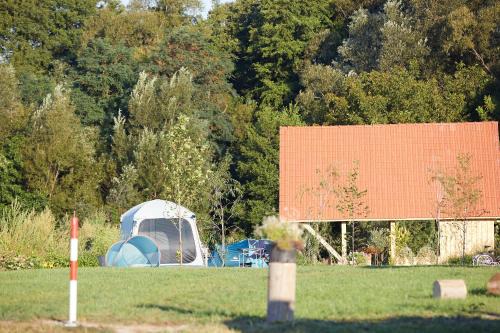 Pui Other | Camping Baleia