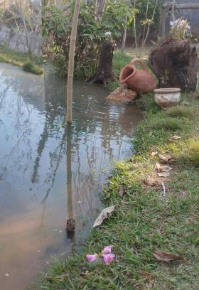 Carvalhos Other | Camping e pousada dos sonhos