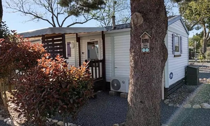 Massillargues-Attuech House | Camping l'Olivier * - Mobil-Homes Comfort 2 bedrooms 4 people