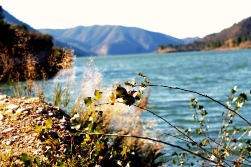 Riba-Roja d'Ebre Other | Camping Riba-roja