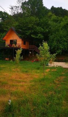 Pleshinë Villa | Camping & RV Park set up your tent Treehouse