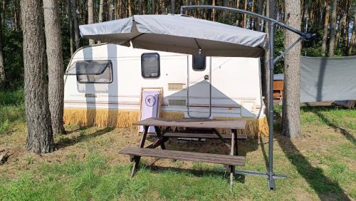 Grudziadz Other | Camping w Lesie