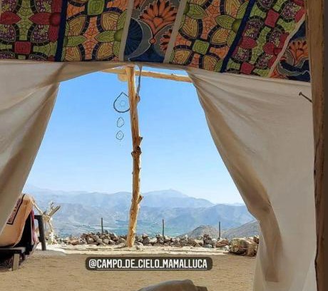 Vicuna Other | Campo de Cielo Mamalluca Valle de Elqui