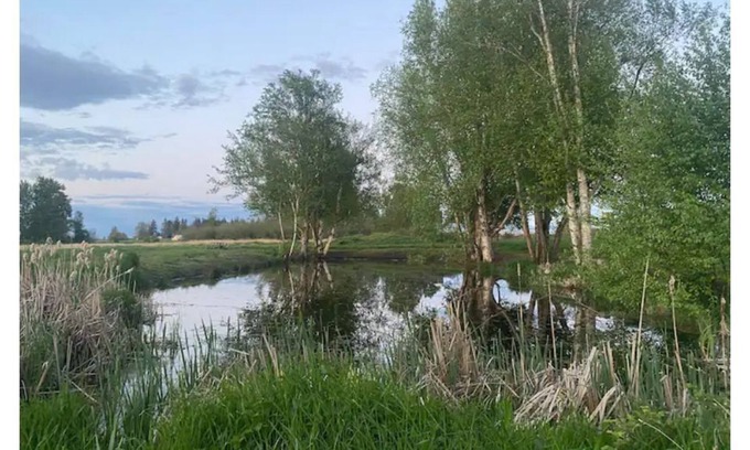 Ferndale RV Rental | CAMPSITE 1 Cottonwood pond CAMPSITE on June Bud Farms