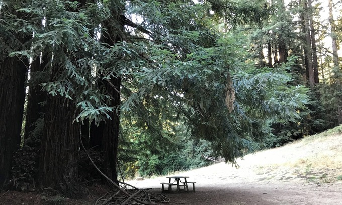 Los Gatos RV Rental | Campsite #8 with hot water shower in 45acre Redwood Mountain Retreat