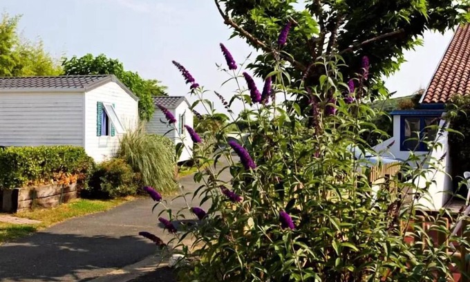 Kokotia House | Campsite Duna Munguy* - 3 room Family mobile home for 5 people
