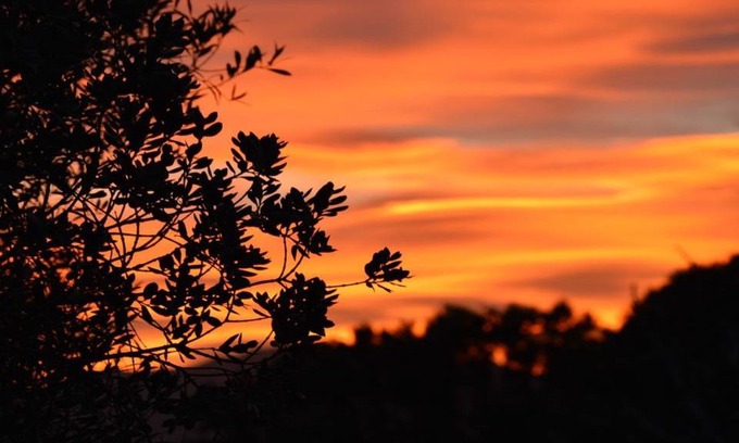 Kommetjie Cabin | Canary Corner Self-Catering Studio Cottage