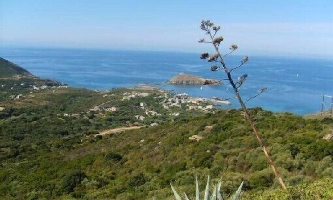 Centuri Apartment | Cap Corse - centuri seaside
