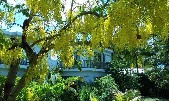 Bain Boeuf Apartment | Cap Heureux Villas