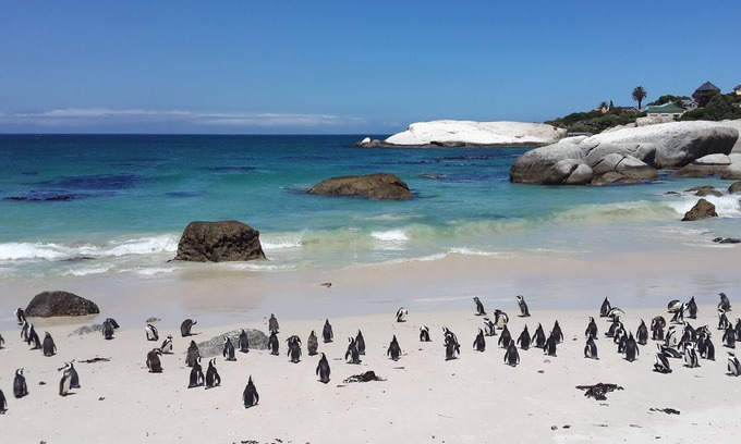 Trawal House | Cape Town Luxury Self Catering Home in a Working Wine Farm - Family Friendly