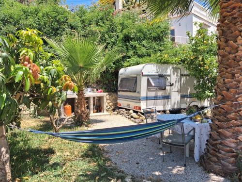 Almayate Bajo Other | Caravan in Finca Molino in Almayate with with pool, family touch and dog madness