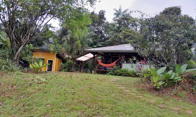 Roura House | CARBETS in the Guiana forest