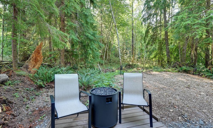 Pierce County Apartment | Carbonado Studio w/Deck & Blackstone Griddle!
