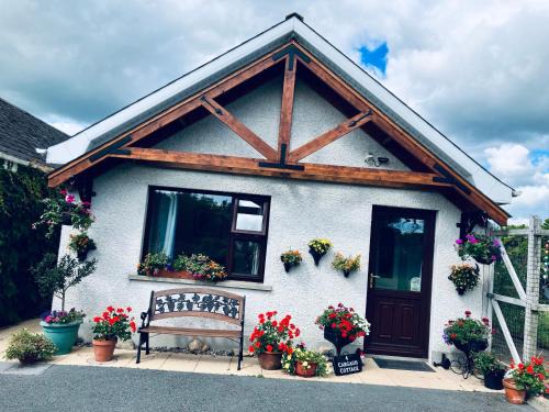 Downpatrick Apartment | Cargagh Cottage