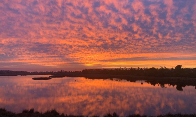 Carlsbad Village Apartment | Carlsbad Paradise 2 - Beach and Legoland nearby