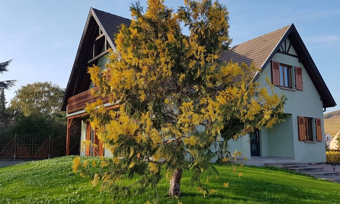 Sigolsheim House | Caroline House