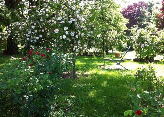 Soliera Bed & Breakfast | Casa a Soliera
