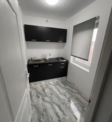 Drobeta-Turnu Severin Apartment | Casa Adam Severin