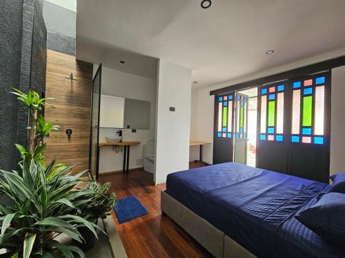 San Antonio House | Casa Alba