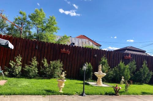 Hateg House | Casa Alexia