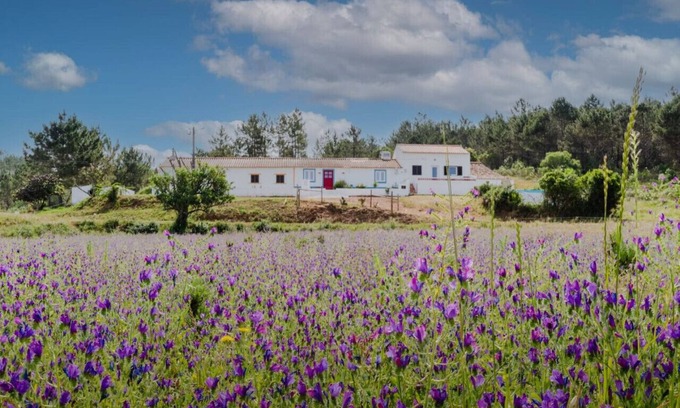 Monte da Vinha House | Casa Alfambras | Holiday Cottage in Aljezur